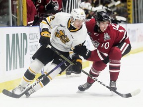 Sarnia Sting's Sandis Vilmanis (22) is checked by Guelph Storm's Jake Karabela (10) in the first period at Progressive Auto Sales Arena in Sarnia, Ont., on Wednesday, Nov. 2, 2022. (Mark Malone/Postmedia Network)