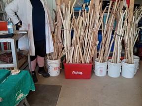 FAIM customer Dustin Rothwell's custom canes will be for sale at the FAIM Entrepreneur Market on November 19 at the High River FAIM office.  Photo submitted