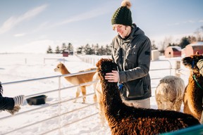 Unique experiences to discover in Oxford County while you shop local.