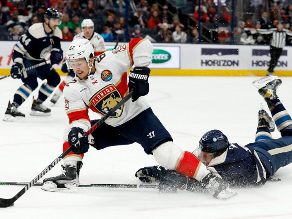 Ravens looking to pick up where they left off Brantford Expositor