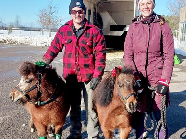 Tyler Fitzgerald with Lola the pony, along with Alex Mitchell and Timbit the pony, pose for a photo at the Lansdowne Community Building during Santa Claus parade festivities on Sunday afternoon. (KEITH DEMPSEY/Local Journalism Initiative Reporter)
