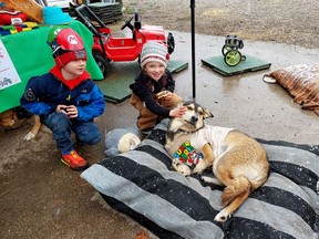 Levi Pennie, 6, left, and Paris Dudgeon, 4, spend some quality time with Wally during his first birthday party held at Charlotte's Freedom Farm on Saturday. The tuckered out pooch enjoys a rest on his new bed while taking a break from wearing his new prosthetic legs. Ellwood Shreve/Postmedia