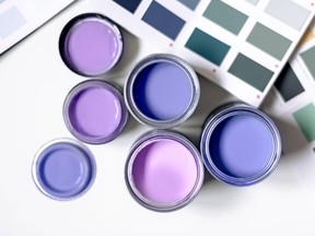 CO.purple paints