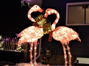 Look for the "Flamingo House" on 4th Avenue SE again this year with their Christmas flamingos and playing Christmas music. Photo by Dana Zielke
