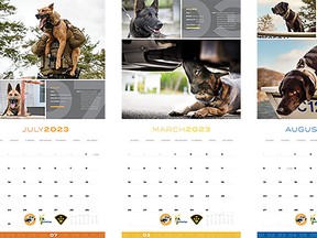The August calendar features a Sault-based OPP dog.