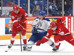 Landon McCallum, middle, of the Sudbury Wolves, battles for the puck with Marco Mignosa, left, and Kirill Kudryavtsev, of the Soo Greyhounds, during OHL action at the Sudbury Community Arena on Wednesday night.  Kalvyn Watson scored both goals for the Hounds in a 2-1 victory.