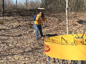 A player takes part in disc golf in an area forest in an undated file photo.