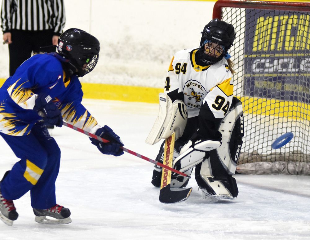 Stingers soar in their own tournament Mitchell Advocate