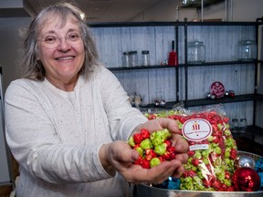 Poppin Kettle Corn owner Wendy Stanley shows off her Grinch Mix, cherry and green apple-flavoured popcorn, one of the seasonal flavours that will be available on Destination Stratford's Christmas Trail this year. (Chris Montanini/Stratford Beacon Herald)