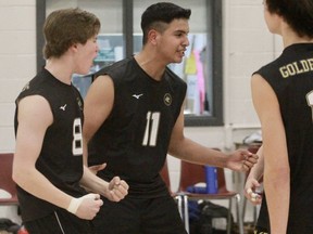 SDSS Golden Bears Nathan Ehnes (8) and Jash Singh (11) celebrate after winning the Huron-Perth junior boys' volleyball title Thursday.