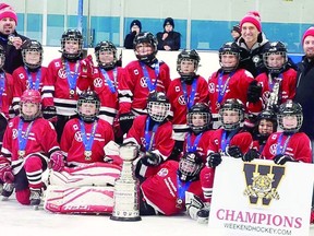 LITTLE NHL CHAMPS Representing the Soo Pee Wee Hockey League, the Under 10 A level Hurricanes went undefeated to bring home the championship banner from the Welland Little NHL Tournament. HOCKEY NEWS NORTH