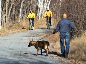 Tom Abraham, de BlackTracks K9, utilise son chien pour fouiller une zone sur le Rotary Park Trail mardi. L'entreprise a été amenée à Sudbury par l'organisation Please Bring Me Home pour rechercher Meagan Pilon, vue pour la dernière fois le 11 septembre 2013.