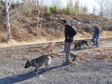 David Abraham, left, and Tom Abraham, of BlackTracks K9, use their dogs to search an area at Rotary Park Trail in Sudbury, Ont. on Tuesday November 1, 2022. The father and son team were brought to Sudbury by the organization, Please Bring Me Home, to search for Meagan Pilon, last seen on Sept. 11, 2013. John Lappa/Sudbury Star/Postmedia Network