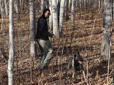 David Abraham, of BlackTracks K9, uses his dog to search an area at Rotary Park Trail in Sudbury, Ont. on Tuesday November 1, 2022. The company was brought to Sudbury by the organization, Please Bring Me Home, to search for Meagan Pilon, last seen on Sept. 11, 2013. John Lappa/Sudbury Star/Postmedia Network