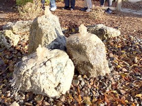 Bubbling Rock in Centennial Park in Dutton is a project of the Dutton Dunwich Horticultural Society. From left to right are Corry Bachmeier (current president), Julie Henley-Kapeleris, Bob Purcell (past mayor of Dutton Dunwich), Edith Richardson and Deborah Polsky. Supplied