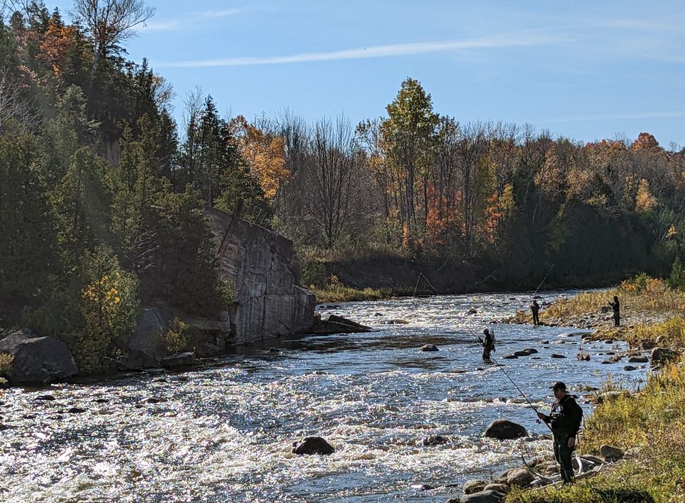 Saugeen Conservation on X: Planning on fishing? Check the water