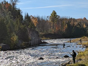 Anglers dip their lines into the Bighead River near Meaford during the October salmon run, the Grey Sauble Conservation Authority is one of several landowners who have partnered to create the 10.8-kilometre Trout Hollow Trail that traverses the Bighead River valley. Greg Cowan/The Sun Times