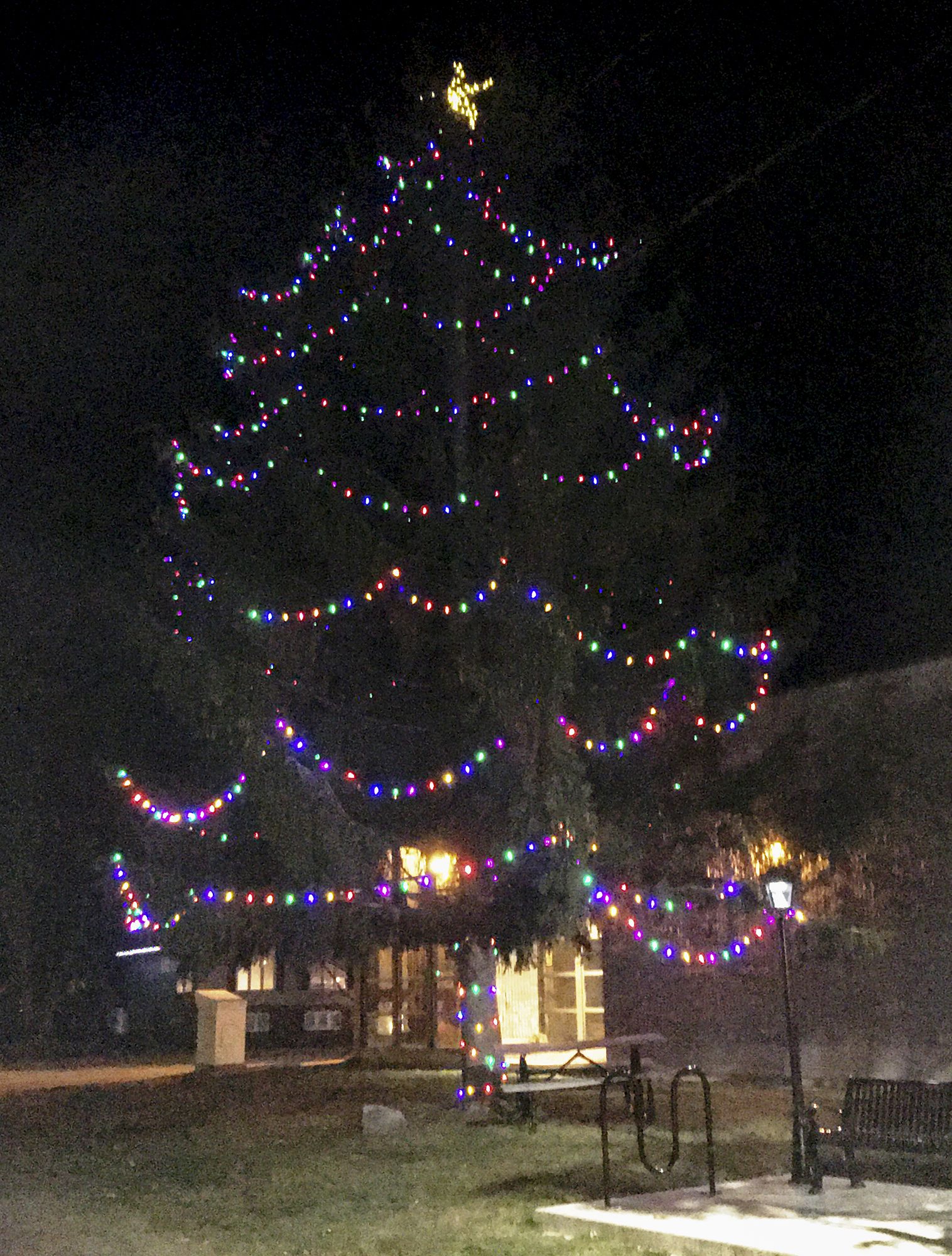 Let’s Light Up Lansdowne tree lighting celebration Pembroke Observer