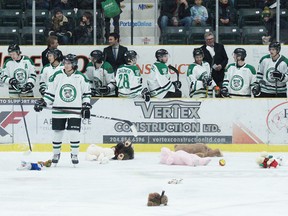 The bench always has a laugh while the teddy bears are getting picked up off the ice. (Supplied by Portage Terriers)
