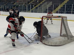A Brantford Minor Hockey Association under-18 'BB' player grabs a loose puck at the side of the net Friday during the final of the 51st annual Wayne Gretzky International Hockey Tournament. Brantford lost to West Mall Lightning 2-1 in overtime of the final at the Wayne Gretzky Sports Centre. Expositor Staff