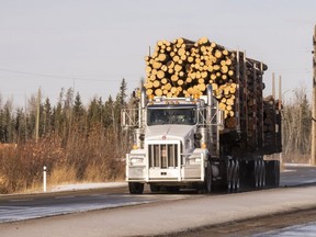 A loaded log truck heads south on to Resources Road heading towards Weyerhauser on Thursday, Nov. 12. 2020.
