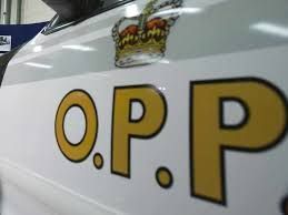 OPP arrest Port Loring resident four days after being released from ...