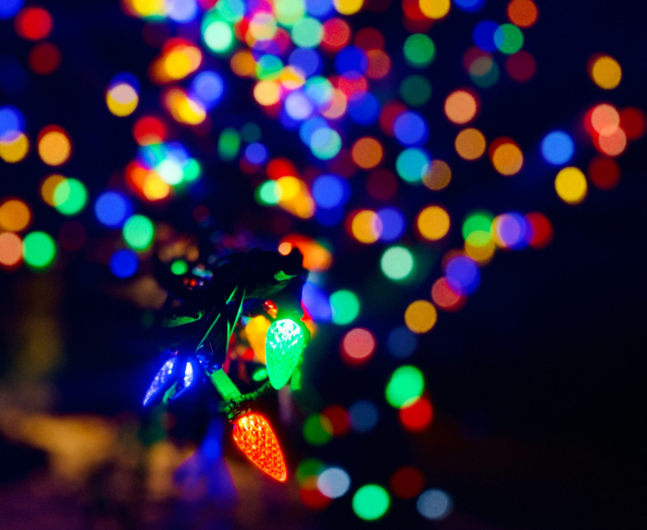 Tom Davies Square hosts holiday tree-lighting | Sudbury Star