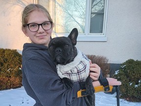 Hannah Layfield, 13, a Deseronto resident, with Danny, her grandparents' French bulldog, in Napanee. Layfield was fitted with a custom prosthetic that helps her be able to hold a crop during competitive horse riding, paid for by War Amps. (Jan Murphy/Local Journalism Initiative reporter)