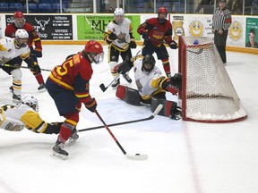 Barrett Joynt of the Wellington Dukes looks to have a lot of net to shoot at but was denied by Trenton Golden Hawk net minder Ben Bonisteel during second period action at the Dunc Sunday night. The Dukes skated out of town with a thrilling 2-1 overtime win.