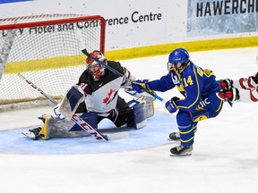 Robert Lefebvre/Hockey Canada Images Sweden's Lukas Sagranden makes Canada West goaltender Andrew Ness work for the save during the World Junior A Challenge game held at the Cornwall Civic Complex on Thursday, Dec. 15, 2022. Sweden won the game 5-3.