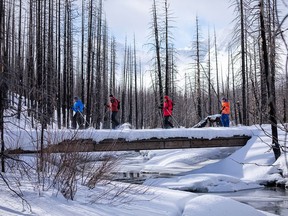 Akamina Parkway in Waterton Park is open to vehicles up to Little Prairie Day Use Area, providing foot, ski, and snowshoe access to one of the park’s most popular winter recreation areas.