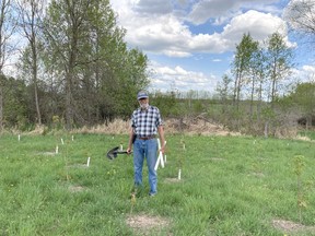 Bob Dobson planting trees on his farm in the spring of 2022.