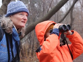 Carrie McAffer looks for birds with her grandson Linkon Dixon, six, in Canatara Park Saturday. They were participating in the children's Christmas Bird Count, hosted by Lambton Wildlife's Young Nats Club. (Tyler Kula/ The Observer)