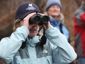 Group leader Kate Little looks out over Lake Chipican Saturday in Sarnia's Canatara Park.  Her group was one of six searching for birds in the park during this year's Christmas Bird Count for kids, via Lambton Wildlife's Young Nats Club.  (Tyler Kula/ The Observer)