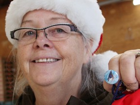 Anne Goulden with Lambton Wildlife holds a red-breasted nuthatch pin, one of several provided to participants in this year's children's Christmas Bird Count in Canatara Park.  (Tyler Kula/ The Observer)