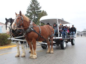 Claire Jardine gets set to leave the arena in Point Edward with a wagon full of riders Saturday during Point Edward's 11th annual Christmas in the Village.