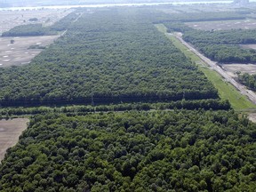 An aerial view of Bickford Oaks Woods.