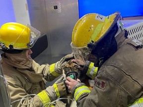 Firefighters from St. Clair Township attend to one of two cats rescued from a fire Sunday at a home on the St. Clair Parkway in this photo posted on the fire department's Facebook page. No one was injured, the fire department said.