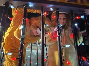 Owen and Mila Suckel had a roaring good time aboard the Waterford Lions Club float during the Santa Claus parade in the town on Saturday night.
