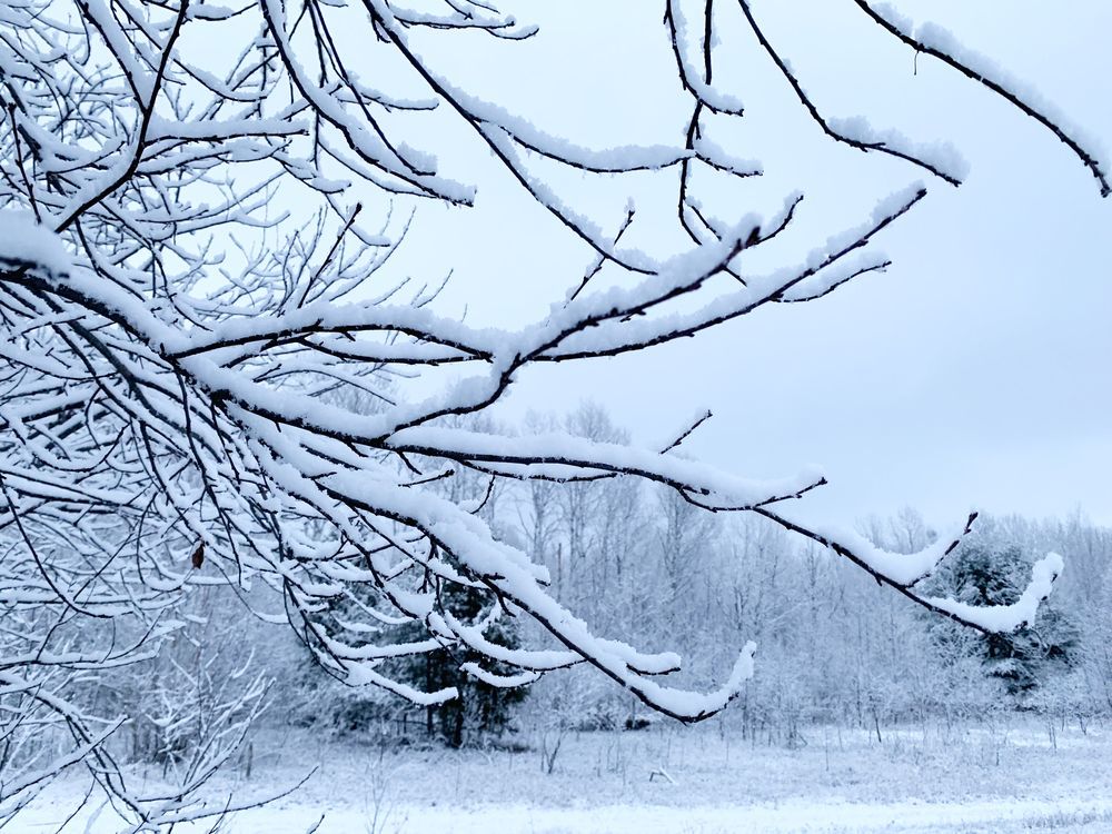 Snowfall warning is in effect for Sudbury area Sudbury Star