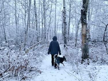 Jan and her dog, Blue, walk through a snow-covered forest in Naughton, Ont. on Tuesday December 6, 2022. John Lappa/Sudbury Star/Postmedia Network