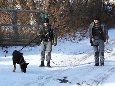 Const. Chris Vitali, left, Royal the canine, and Sgt. Greg Major, of the Greater Sudbury Police, take part in a training exercise in Sudbury, Ont. on Monday December 12, 2022. John Lappa/Sudbury Star/Postmedia Network