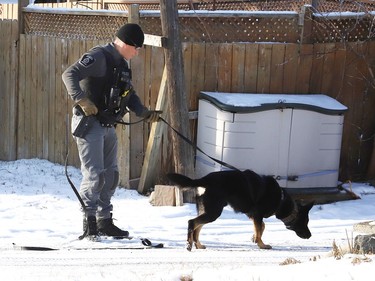 Const. Chris Vitali and Royal the canine, of the Greater Sudbury Police, take part in a training exercise in Sudbury, Ont. on Monday December 12, 2022. John Lappa/Sudbury Star/Postmedia Network