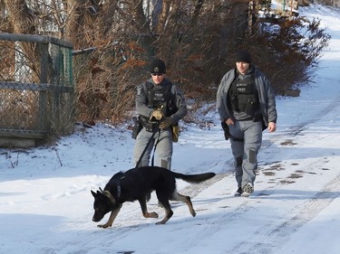 Const. Chris Vitali, left, Royal the canine, and Sgt. Greg Major, of the Greater Sudbury Police, take part in a training exercise in Sudbury, Ont. on Monday December 12, 2022. John Lappa/Sudbury Star/Postmedia Network