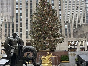 Rockefeller-Center-Christmas-tree