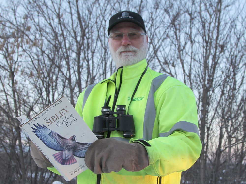 Timmins Christmas Bird Count takes flight Dec. 17 The Daily Press