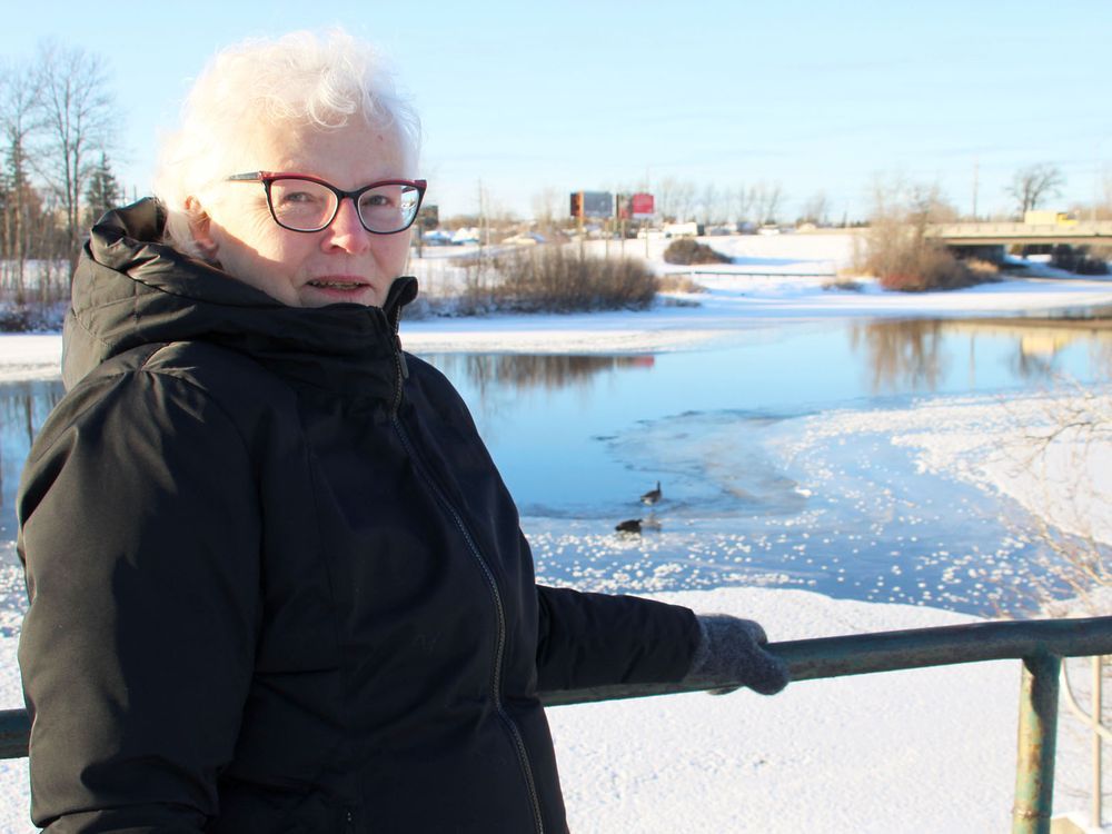 Val Caron rescue organization trying to help geese stranded in Timmins