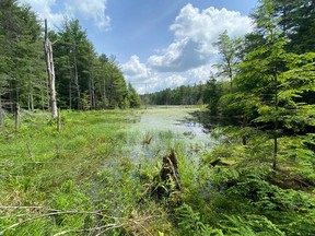 Thousand Islands Watershed Land Trust (TIWLT) $5M conservation project 45 minutes south of Ottawa in the watershed of the Thousand Islands.