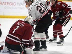 Matthew Papais hovers over Jacob Oster like a vulture over roadkill looking for a rebound as the Owen Sound Attack host the Guelph Storm inside the Harry Lumley Bayshore Community Centre on Saturday, Dec. 10, 2022. Greg Cowan/The Sun Times