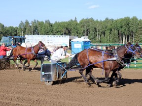Kayla Kobi pulled ahead in chariot races at the Westward Agricultural Complex. The wagon rides and chariot races, which Kobi came from Stettler to compete in, kicked off an exciting weekend for the 2022 Whitecourt Woodlands Rodeo. The Whitecourt Woodlands Rodeo Committee hosted the event which included the WRA Rodeo, chuckwagon races, live entertainment and a car club show.